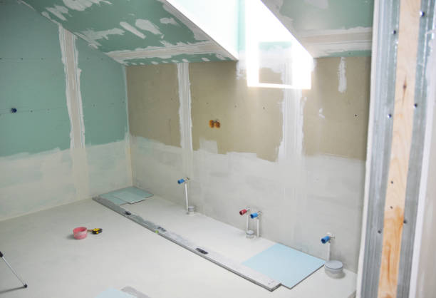 Best Mold Documentation for Insurance Claims  in Greensboro, AL