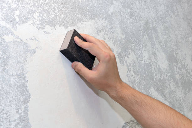 Best Attic Mold Removal  in Greensboro, AL