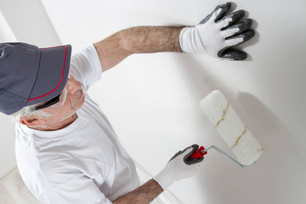 Best Mold Damage Restoration  in Greensboro, AL