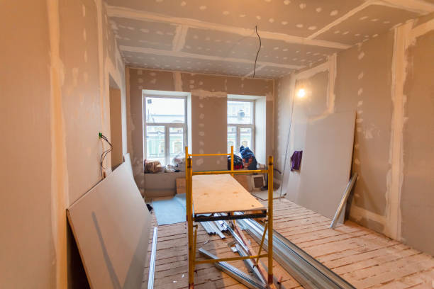 Best Post-Construction Mold Inspection  in Greensboro, AL
